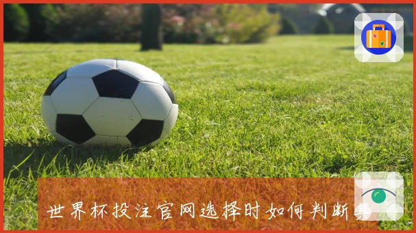 世界杯投注官网选择时如何判断其安全性和可靠性？