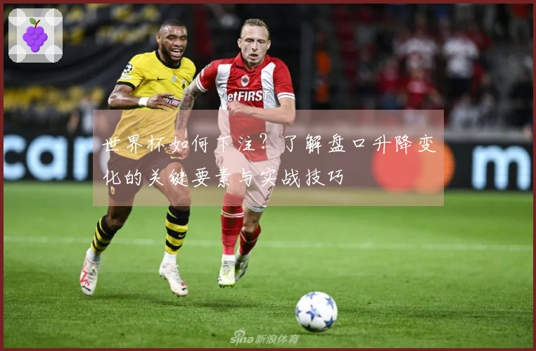世界杯如何下注？了解盘口升降变化的关键要素与实战技巧
