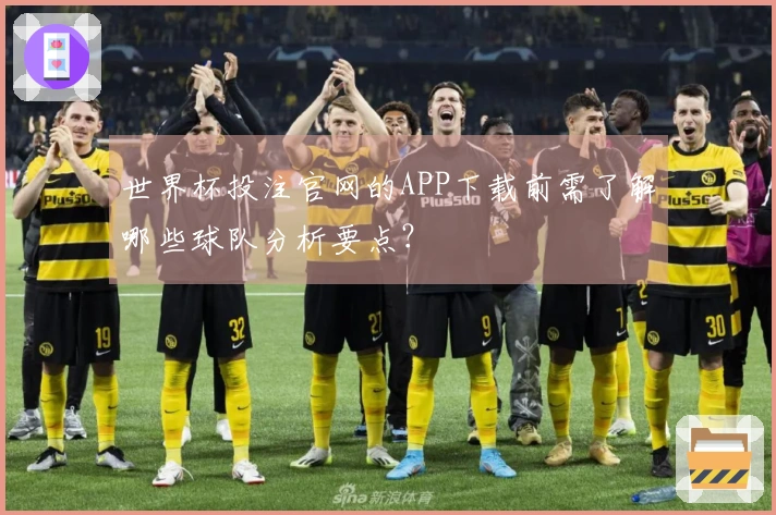 世界杯投注官网的APP下载前需了解哪些球队分析要点？
