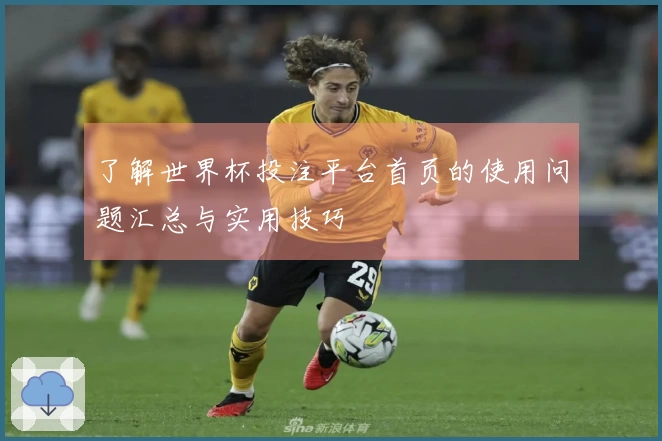 了解世界杯投注平台首页的使用问题汇总与实用技巧
