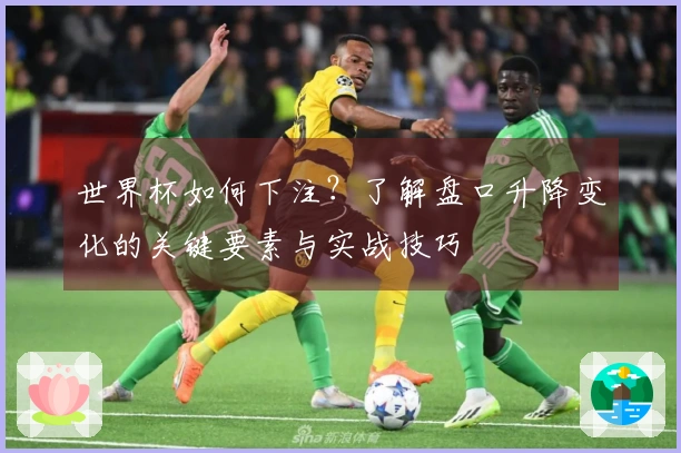 世界杯如何下注？了解盘口升降变化的关键要素与实战技巧