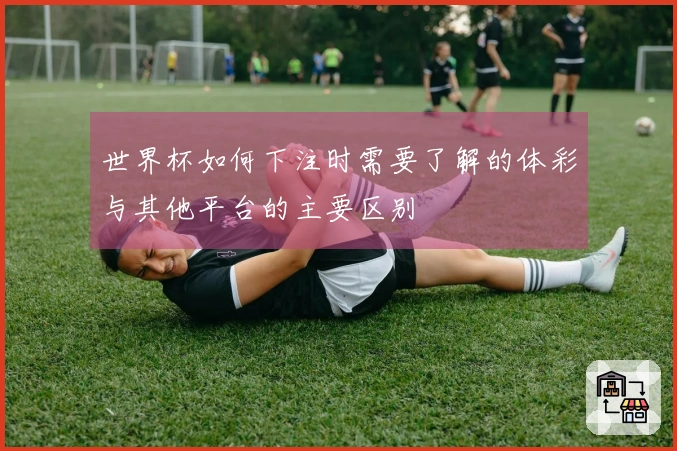 世界杯如何下注时需要了解的体彩与其他平台的主要区别