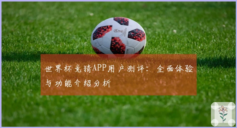 世界杯竞猜APP用户测评：全面体验与功能介绍分析