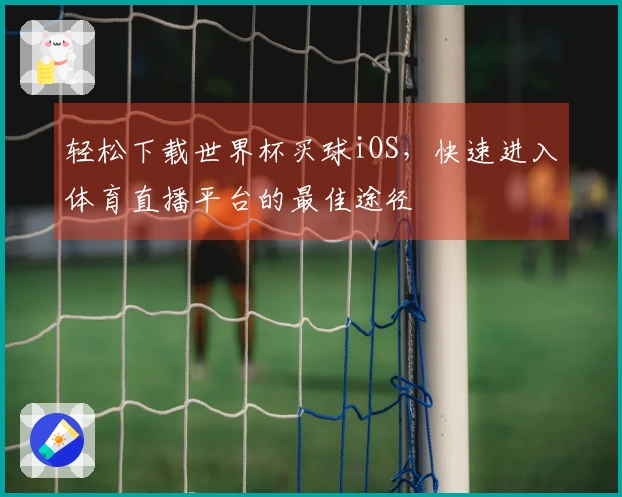 轻松下载世界杯买球iOS,快速进入体育直播平台的最佳途径