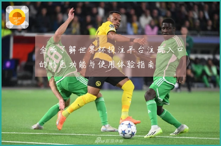全面了解世界杯投注平台注册入口的特色功能与使用体验指南