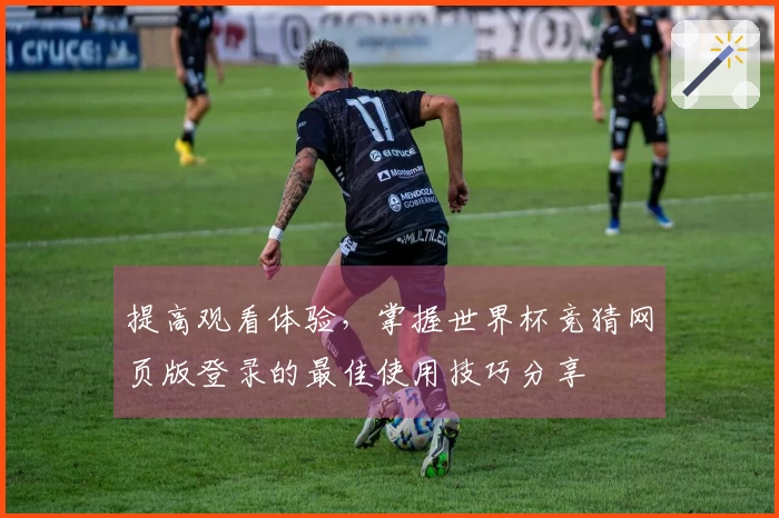 提高观看体验，掌握世界杯竞猜网页版登录的最佳使用技巧分享