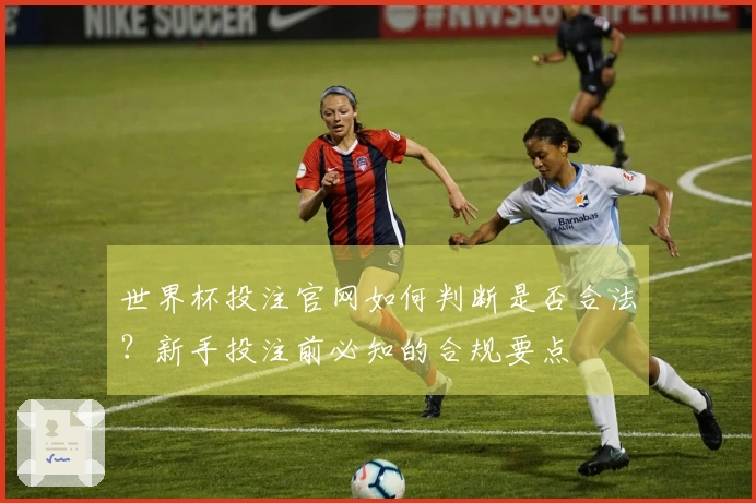 世界杯投注官网如何判断是否合法?新手投注前必知的合规要点