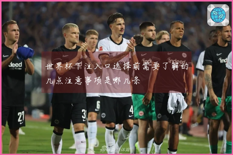 世界杯下注入口选择前需要了解的几点注意事项是哪几条