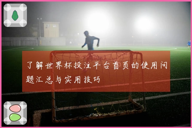 了解世界杯投注平台首页的使用问题汇总与实用技巧