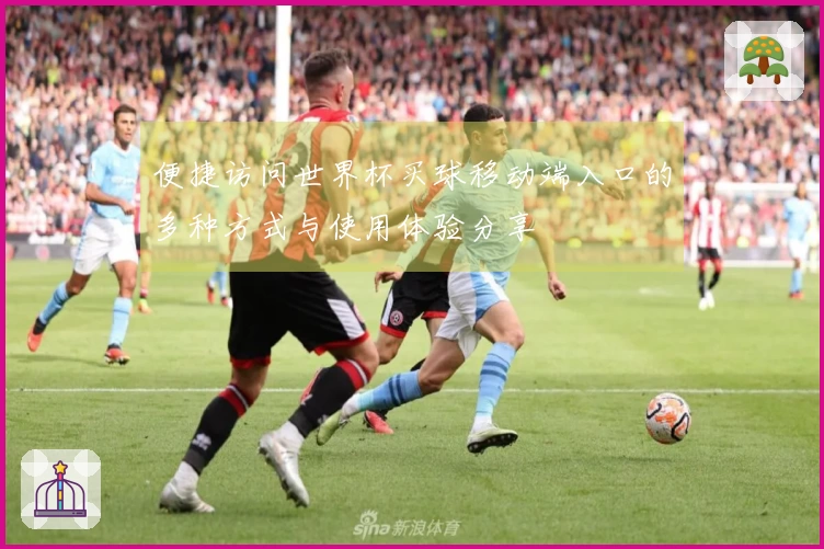 便捷访问世界杯买球移动端入口的多种方式与使用体验分享
