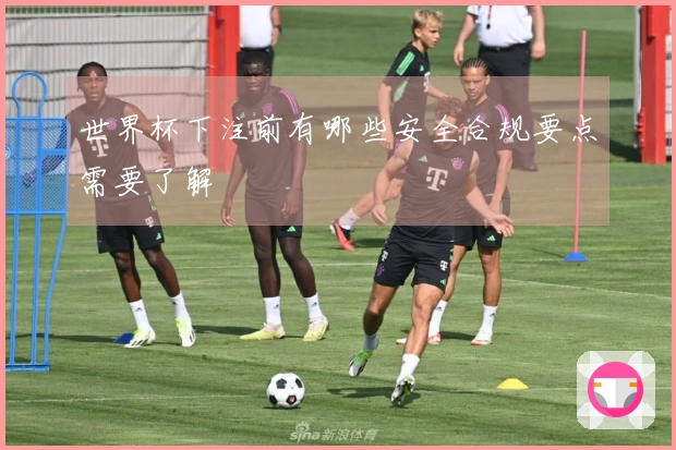 世界杯下注前有哪些安全合规要点需要了解