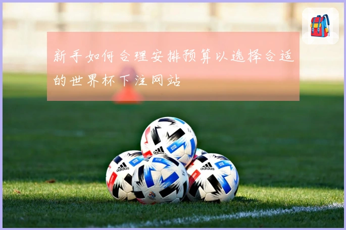 新手如何合理安排预算以选择合适的世界杯下注网站