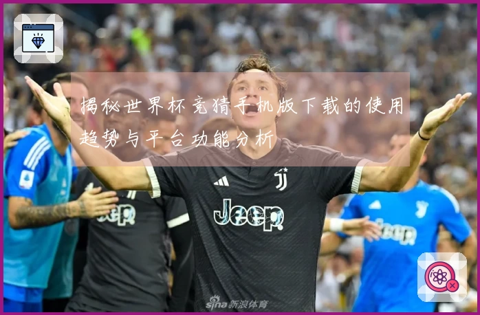 揭秘世界杯竞猜手机版下载的使用趋势与平台功能分析